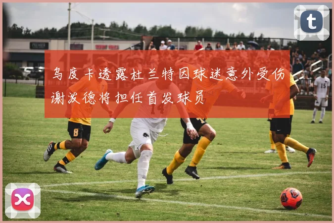 乌度卡透露杜兰特因球迷意外受伤谢泼德将担任首发球员
