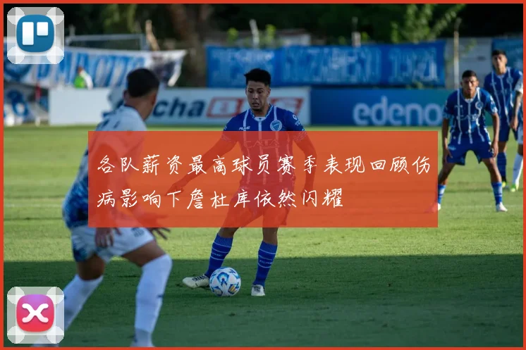 各队薪资最高球员赛季表现回顾伤病影响下詹杜库依然闪耀