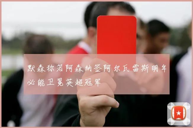 默森称若阿森纳签阿尔瓦雷斯明年必能卫冕英超冠军
